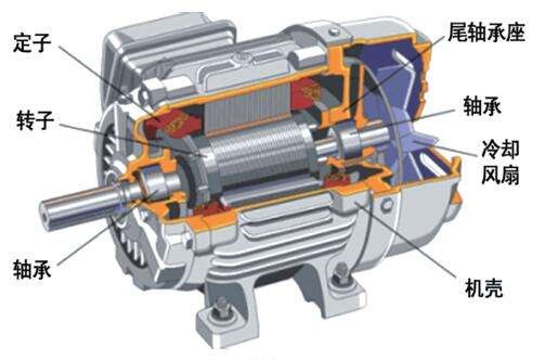 timg (10).jpg timg (10).jpg